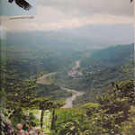 Fuyuan butterfly resort, Crested serpent eagle