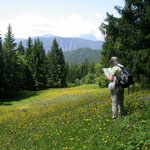 Planina Pod Golica bij Jesenice