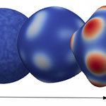 Morphogen patterning