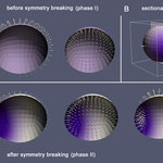 Simulating symmetry breaking in the Hydra polyp