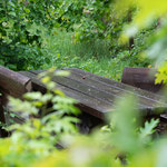 An einigen Stellen stehen Bänke zum Ausruhen und Wald lauschen.