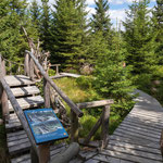 Auf dem 180m langen Rundweg wird auf vielen Schildern erklärt, wie die Natur neue Chancen nutzt und wie der Wald in Zukunft aussehen könnte.