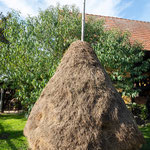Diese zum Teil 4 Meter hohen Heuschober findet man überall im Spreewald, so natürlich auch im Museumsdorf.
