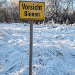 Nein. Da waren keine Bienen. Wirklich nicht. 