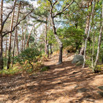 Die Wanderwege sind mal breit und bequem zu laufen, ....