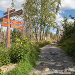 Rund 600km Wanderwege laden im Harz ein, die Natur und die Aussicht zu genießen. 