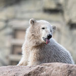 Zoo Rostock