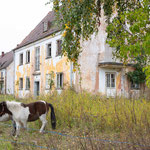 Ein paar Tiere, unter anderem Ponys und Ziegen, dürfen hier in Ruhe leben und werden bei jeder Führung gefüttert.