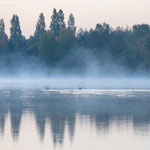 Ich hatte auf dichte Nebelschwaden über dem Wasser und einen schönen Sonnenaufgang gehofft. Leider ließ sich der Nebel sehr betteln, doch hier am Zwochauer See hatte ich ein wenig Glück. Und bekam gleich noch 2 Models kostenlos dazu. 