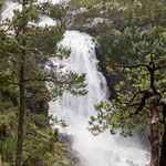 Der Nyastolfossen ist in Sicht- und Hörweite. Unglaublich, was Wasser für einen Krach machen kann!