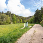 Es gibt verschiedene Startpunkte für diese Tour. Wir beginnen die Wanderung am Sonnencamping Albstadt. Gleich hinter dem Zeltplatz führt ein Weg hinauf zum Ochsenberg. 