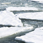 Die Eisschollen werden durch die Strömung zurück ans Land gedrückt. Die Ostsee zeigt sich hier ganz anders als im wenige Kilometer entfernten Binz.