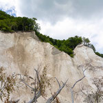Die toten Bäume am Strand scheinen ihre weißen Arme nach oben zu recken und ihren Artgenossen zuzurufen: so springt doch, es ist gar nicht so schwer!