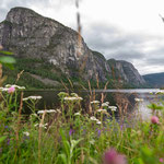 Der Campingplatz, zu dem auch ein Hotel gehört, ist teurer als in Kinsarvik, aber auch sehr schön und wir bekommen einen Stellplatz mit Blick auf Berge, Wasserfall und die Otra.