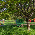 Auch für die Kinder ist gesorgt. Der Spielplatz ist sehr groß und bietet viele Möglichkeiten zum Toben und Klettern. 