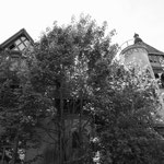 Das Rittergut versteckt sich ganz gut hinter Bäumen und dichtem Gebüsch. 