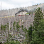 Ein Muss für jeden Harz-Besucher: hinauf zum Brocken - zu Fuß, mit dem Rad oder der Brockenbahn.
