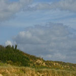 la dune