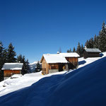 Les Crépines