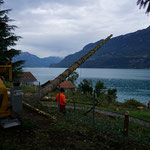 Henzelmann's Baumpflege AG