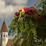 Henzelmann's Baumpflege AG