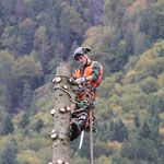 Henzelmann's Baumpflege AG