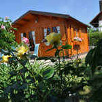 FeWo Dietsch Vestenbergsgreuth mit Elektroauto Ladestation für Gäste, Naturpark Steigerwald in Franken, gelbe Rose am Gartenhaus