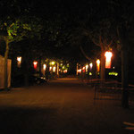 TOMBÉES DE LA NUIT - 2010 - Les Veilleuses