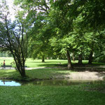 im Englischen Garten