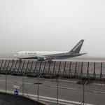Star Air (Maersk) boeing 767-200 OY-SRP