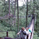 Treetops Adventure - A stroll in the Sky