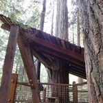 Treetops Adventure - Tree house