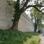Walking Along the Rampart Wall