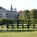 King's Garden - Copenhagen's Most Popular Park