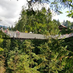 Many Visitors on the Bridge