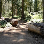 Hike to Taft Point