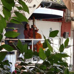 Live Jazz at Jardin Nelson