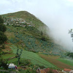 Otty - About 5000 Feet Above the Sea Level and in the Nilgiri Ranges (Blue Mountains)