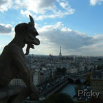 Chimera, a Representation of a Monster, Watching Paris