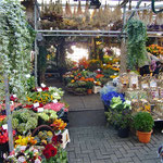 Famous Flower market, Bloemenmarkt Along Singel