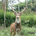 On the Way to Otty From Bangalore