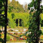 Beautiful Gardens