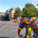 Artistic Elephants Seen on the Museum Square