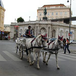 Horse-Drawn Carriage in Vienna