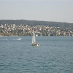 Lake Zurich
