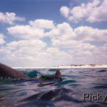 Swimming With Dolphins at Panama City Beach, Florida