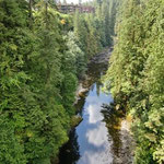 Above the Capilano Canyon Floor