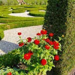 Flowerbeds and Shrubs