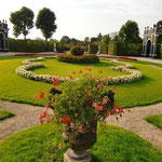 Garden Near the Palm House
