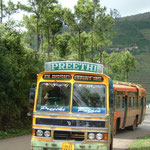 A Colorful Bus in Otty